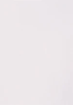 Shirtbluse Uni in Weiß |  Seidensticker Onlineshop