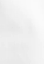 Regular Business Hemd Uni in Weiß |  Seidensticker Onlineshop