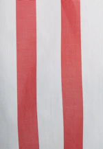 Shirt Blouse Stripes in Red |  Seidensticker Onlineshop
