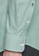 Shaped Chemise Business A Rayures in Vert |  Seidensticker Onlineshop