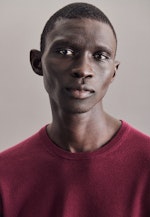 Gerader Schnitt (Normal-Fit) Pullover Uni in Rot |  Seidensticker Onlineshop