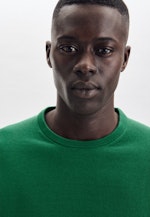 Gerader Schnitt (Normal-Fit) Pullover Uni in Grün |  Seidensticker Onlineshop