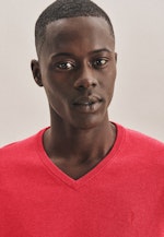 Gerader Schnitt (Normal-Fit) Pullover Imprimé in Rouge |  Seidensticker Onlineshop