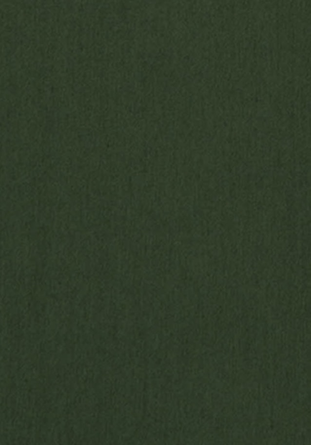 Lange mouwen Satin Blouse Met Opstaande Kraag in Groen |  Seidensticker Onlineshop