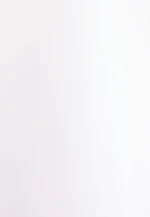 Slim Performance-Hemd Uni in Weiß |  Seidensticker Onlineshop