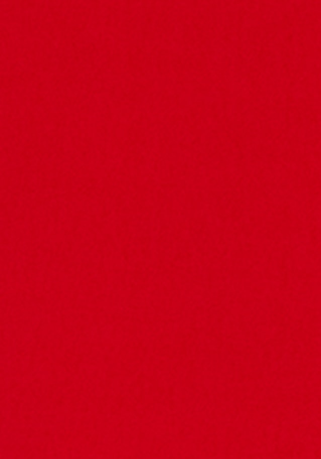 Kragen Hemdbluse Regular in Rot |  Seidensticker Onlineshop