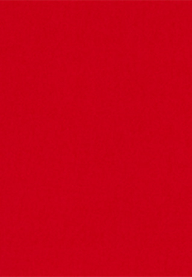 Long sleeve Crepe Shirt Blouse in Red |  Seidensticker Onlineshop