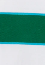 Regular Polo rayures in Vert |  Seidensticker Onlineshop
