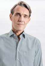 Regular Chemise d'affaires rayures in Vert |  Seidensticker Onlineshop