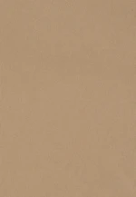 Regular Bermuda pants Uni in Brown |  Seidensticker Onlineshop