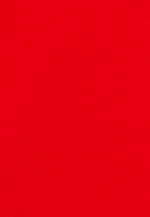 T-Shirt Uni in Rot |  Seidensticker Onlineshop