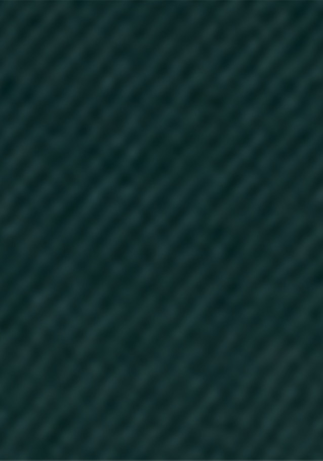 Flannel Long Blouse in Green |  Seidensticker Onlineshop