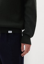 Pullover Regular in Grün |  Seidensticker Onlineshop