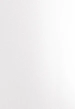 Chemisier oversize in Blanc |  Seidensticker Onlineshop