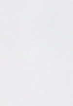 X-Slim Business Hemd Uni in Weiß |  Seidensticker Onlineshop