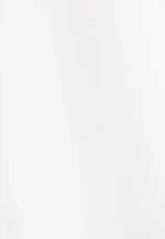 Regular Business Hemd Uni in Weiß |  Seidensticker Onlineshop