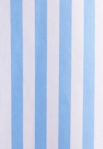 Chemise blouse oversize coupe boxy in Bleu Clair |  Seidensticker Onlineshop