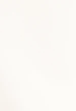 Slim Business Hemd Uni in Ecru |  Seidensticker Onlineshop