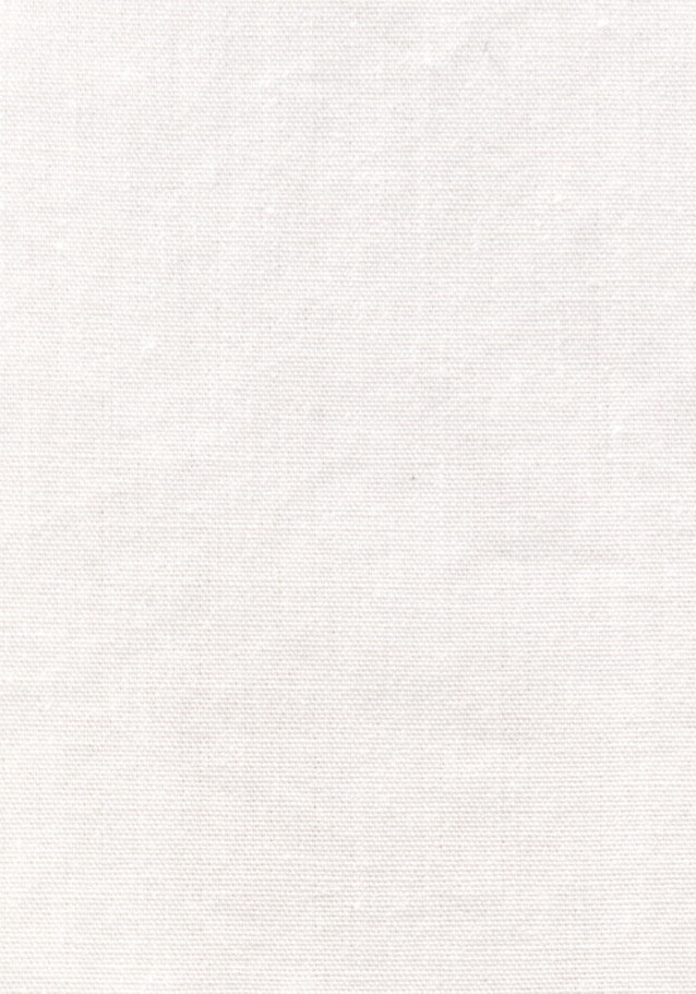 Hemd Regular in Weiß |  Seidensticker Onlineshop