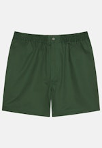 Shorts Regular in Grün |  Seidensticker Onlineshop