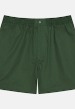 Shorts Regular in Grün |  Seidensticker Onlineshop