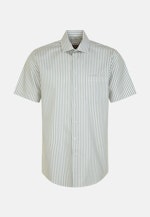 Regular Business Hemd Streifen in Grün |  Seidensticker Onlineshop