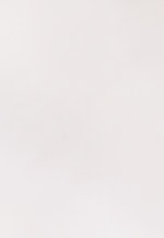 Shaped Business shirt Uni in White |  Seidensticker Onlineshop