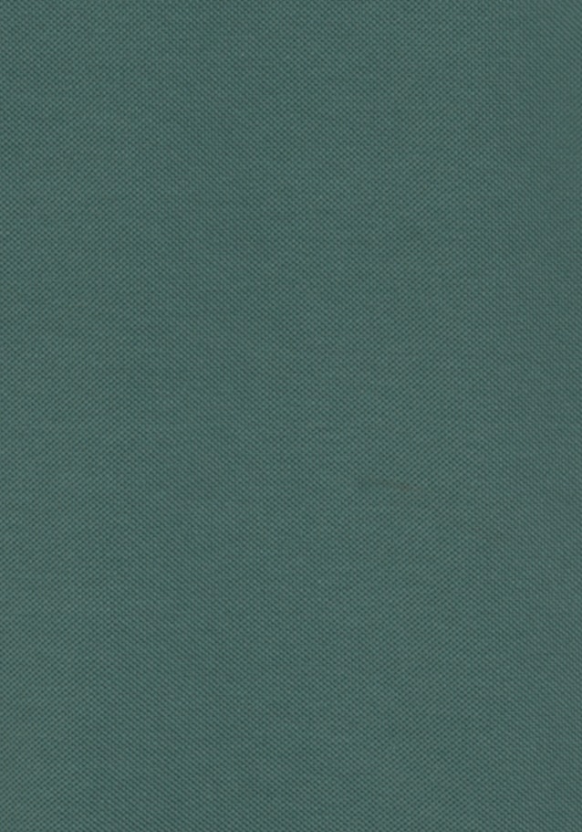 Kragen T-Shirt Regular in Grün |  Seidensticker Onlineshop