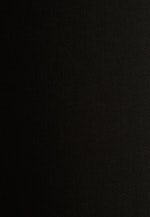Hose Schwarze Rose in Zwart |  Seidensticker Onlineshop