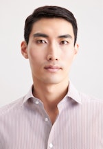 Slim Business Hemd Gestreift in Rot |  Seidensticker Onlineshop