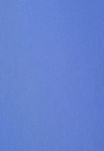 Robe Uni in Bleu Moyen |  Seidensticker Onlineshop
