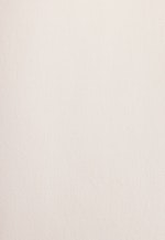 Hemdbluse Uni in Off-White |  Seidensticker Onlineshop