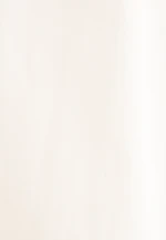 Chemisier long Uni in Blanc |  Seidensticker Onlineshop