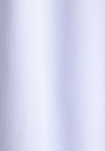 Regular Chemise d'affaires rayures in Bleu Clair |  Seidensticker Onlineshop