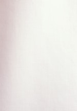 Regular Business Hemd Uni in Weiß |  Seidensticker Onlineshop