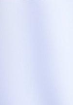 Regular Business Hemd Uni in Hellblau |  Seidensticker Onlineshop