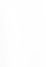 Shaped Business Hemd Fischgrat in Weiß |  Seidensticker Onlineshop