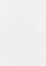 Oversized Hemd aus Baumwolle in Weiß |  Seidensticker Onlineshop