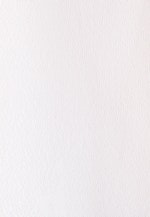 Fließende Hemdbluse aus Chiffon in Ecru |  Seidensticker Onlineshop