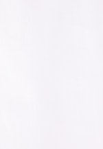 THE STAR Hemdbluse mit markantem Kragen in Weiß |  Seidensticker Onlineshop