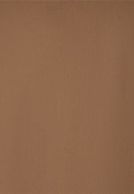 Regular Business Hemd Uni in Braun |  Seidensticker Onlineshop