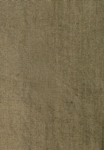 Regular Leinenhemd Uni in Grün |  Seidensticker Onlineshop