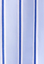 Schalkragenbluse mit Volumenärmel in Hellblau |  Seidensticker Onlineshop