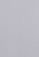 T-shirt Uni in Grey |  Seidensticker Onlineshop