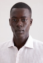 Slim Chemise en lin Rayures in Beige |  Seidensticker Onlineshop