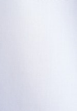 Slim Business Hemd Uni in Hellblau |  Seidensticker Onlineshop