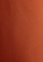 Weit schwingendes Hemdblusenkleid aus Baumwoll Twill, slim in Orange |  Seidensticker Onlineshop