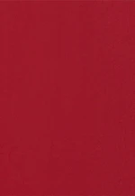 Chemisier à col en V en satin in Rouge |  Seidensticker Onlineshop