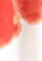 Satin tunic blouse with raglan sleeves in Weiß |  Seidensticker Onlineshop