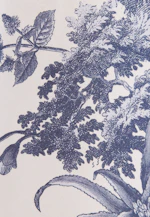 Hemdblusenkleid mit Print aus Baumwolle in Hellblau |  Seidensticker Onlineshop